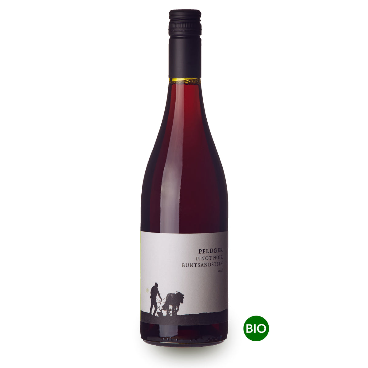 Pflüger Pinot Noir vom Buntsandstein